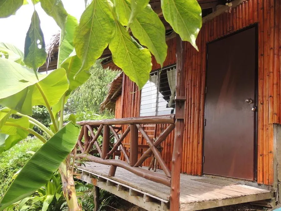 Otel Oyo 624 Phi Phi Palms Residence